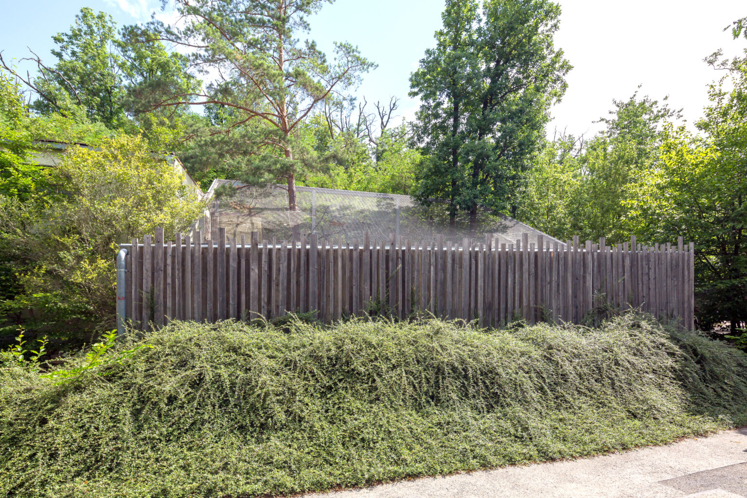 Voliéra nad výběhem paviánů v brněnské zoo
